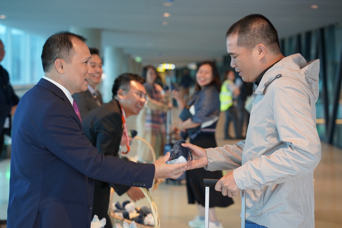vietnam airlines khai trương đường bay hà nội - melbourne hình ảnh 3 vietnam airlines khai truong duong bay ha noi - melbourne hinh anh 3