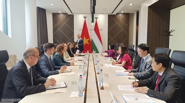 deputy foreign minister hails hungary for considering vietnam priority partner picture 1