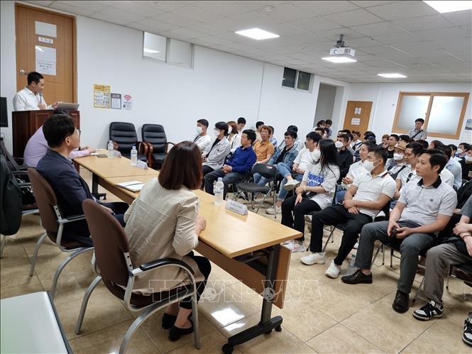 vietnamese workers in rok get updates on local legal regulations picture 1