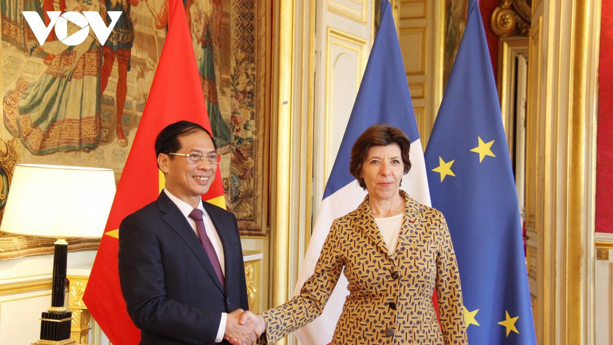 vietnam, france look towards stronger strategic partnership picture 1