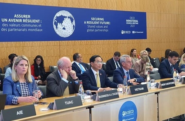 vietnam represented at oecd ministerial council meeting 2023 picture 1