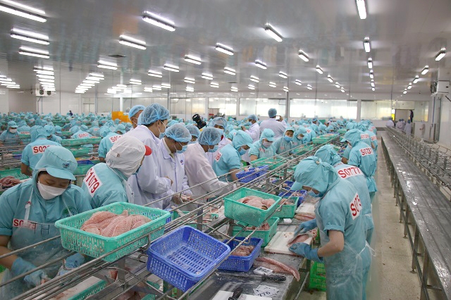 Indian investors seek opportunities in Dong Thap province