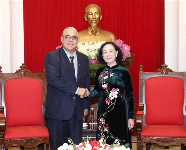 party official reaffirms vietnam s solidarity with cuba picture 1