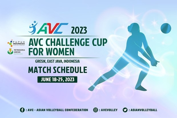 vietnamese athletes leave for indonesia for avc challenge cup picture 1