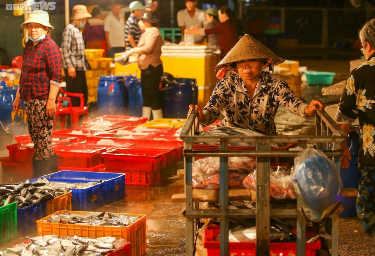 Những người đàn bà nơi cảng cá với đêm dài trĩu nặng mưu sinh