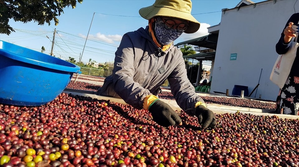 vietnamese farm products sell well throughout southeast asia picture 1