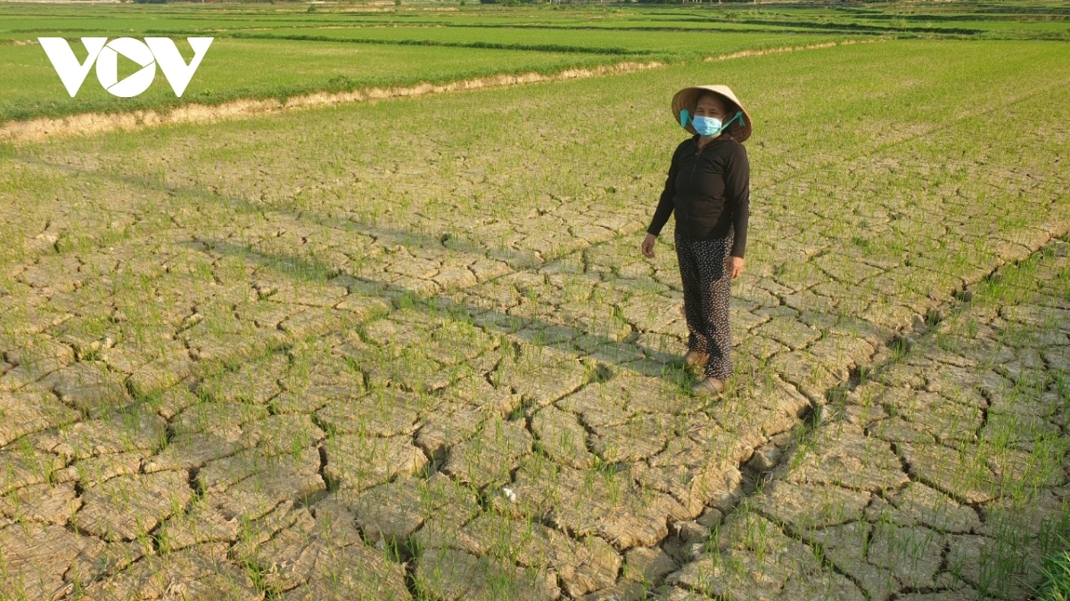 nang nong o mien bac trong thoi gian toi dien bien ra sao hinh anh 2