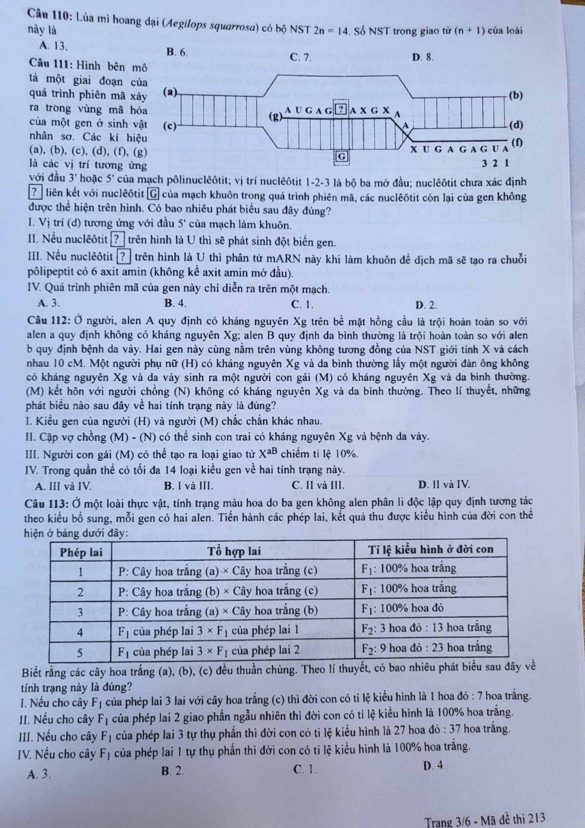 De thi sinh hoc ky thi tot nghiep thpt 2023 hinh anh 3