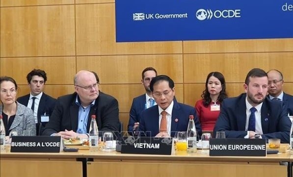 foreign minister highlights vietnam s determination for green transition picture 1 foreign minister highlights vietnam s determination for green transition picture 1