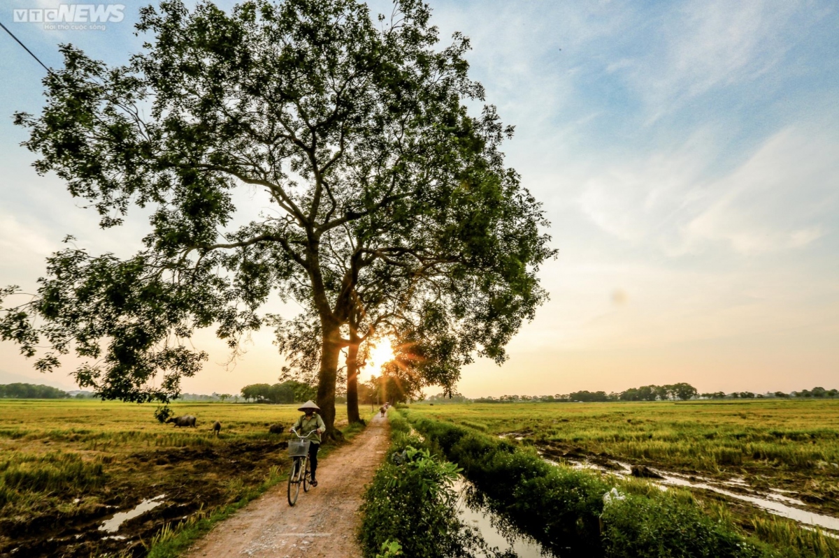 idyllic images in rural areas are easily found in Quoc Oai district