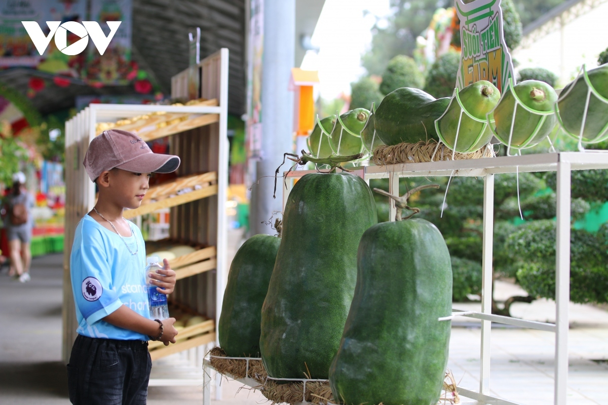 ho chi minh city hosts southern fruit festival picture 1