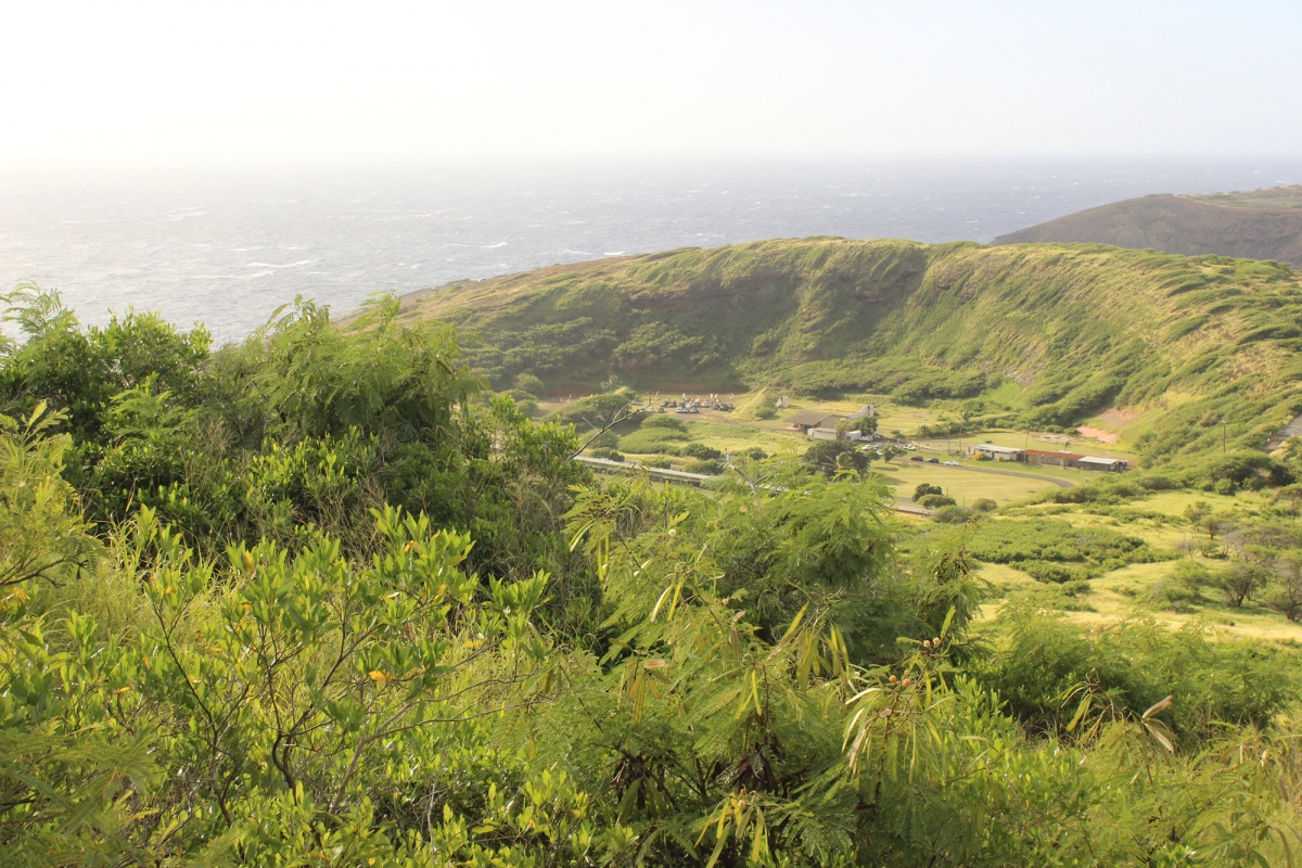 chinh phuc koko head- mieng nui lua da tat o dao oahu hawaii hinh anh 4