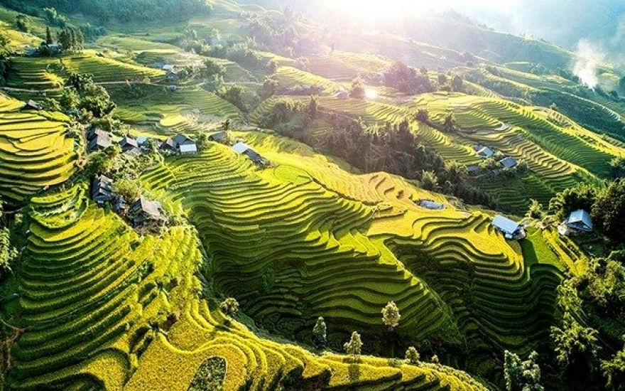 indian times declares terraced rice fields of sa pa prime reason to visit vietnam picture 1