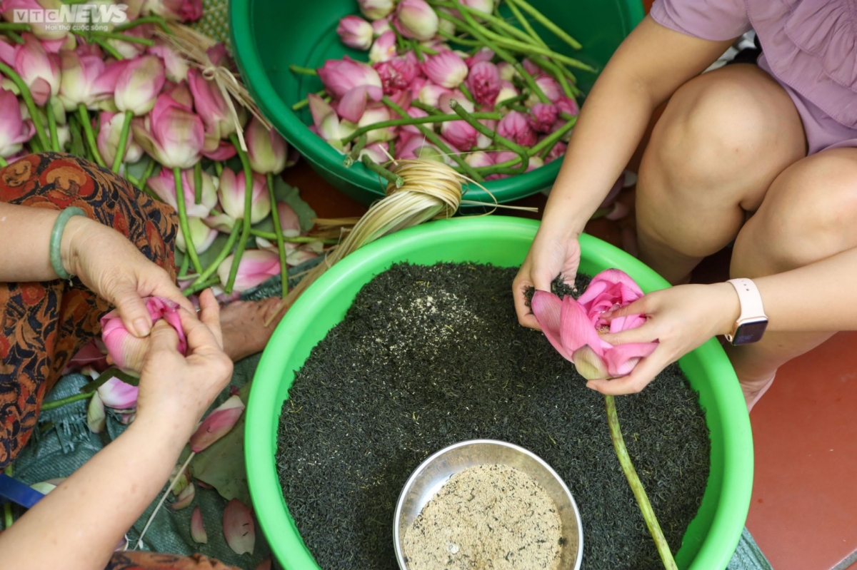 experiencing west lake lotus tea making in hanoi picture 15