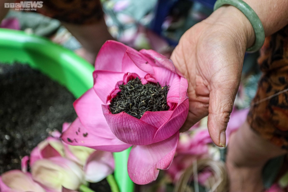 experiencing west lake lotus tea making in hanoi picture 16