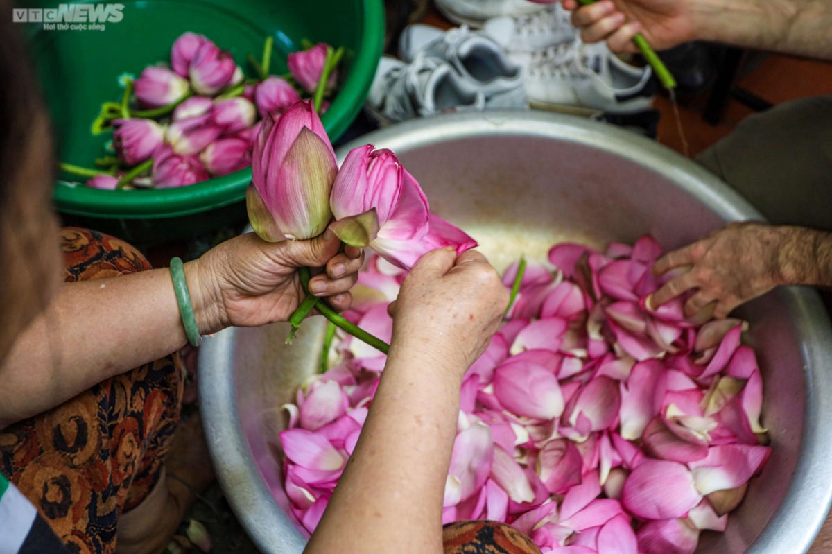 experiencing west lake lotus tea making in hanoi picture 9