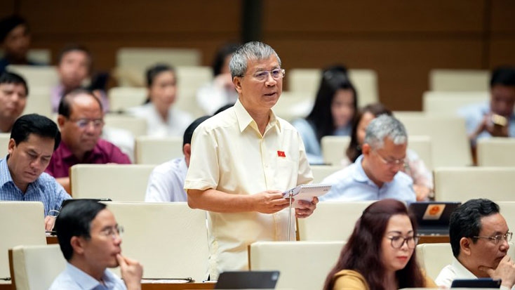  Den bu giai toa dat dai rat kho, nghi den da thay hai hung hinh anh 3