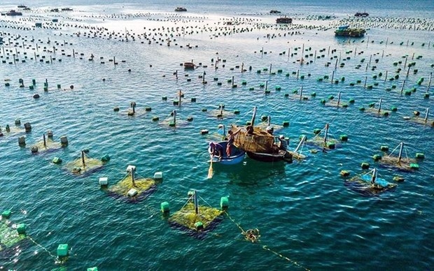vietnam, norway promote cooperation in marine aquaculture picture 1