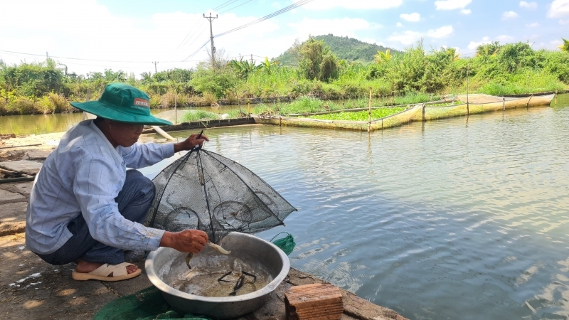 Nông dân Gia Lai mạnh dạn làm giàu, nông thôn mới ngày càng khởi sắc