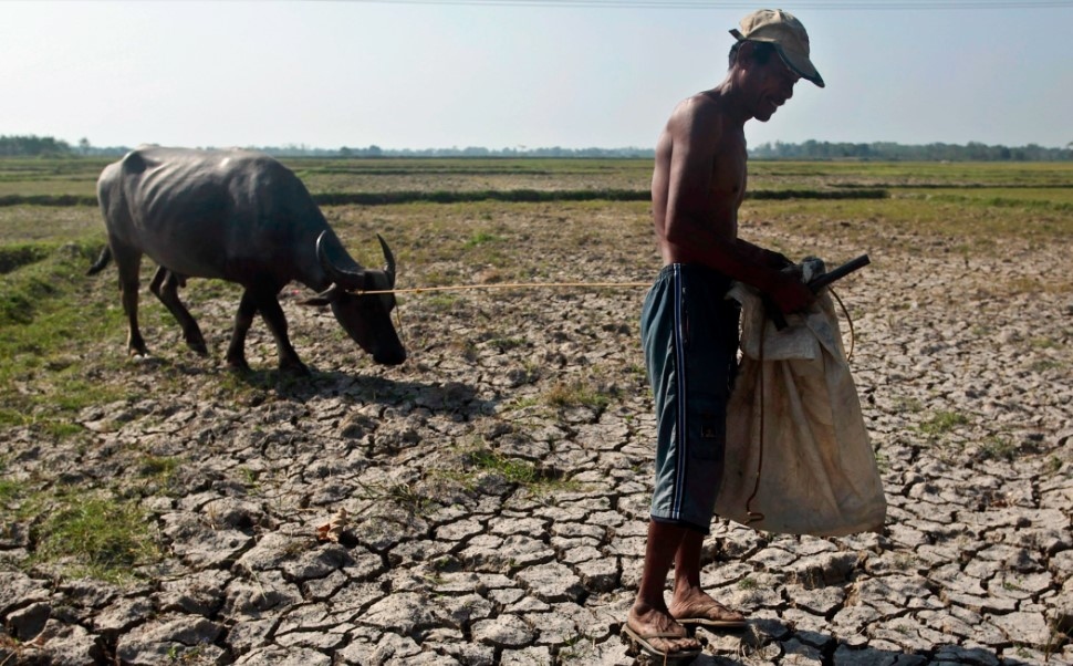 el nino co the khien kinh te the gioi bay hoi hang nghin ty usd hinh anh 1