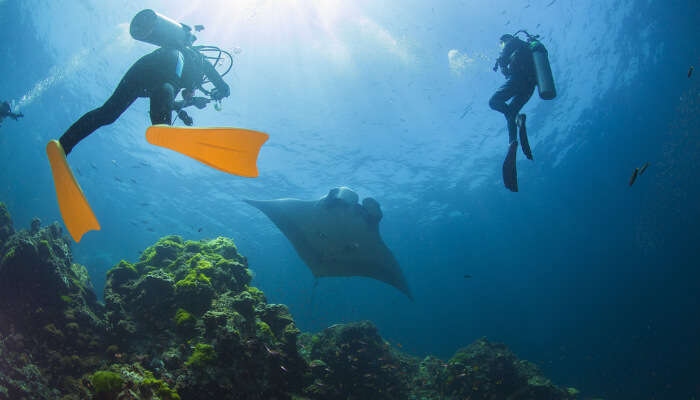 traveldudes suggests best places for scuba diving in vietnam picture 1