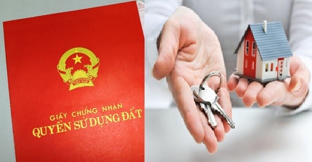 bo cho rieng con gai 10 ty dong truoc khi qua doi vi lo so dieu nay hinh anh 1