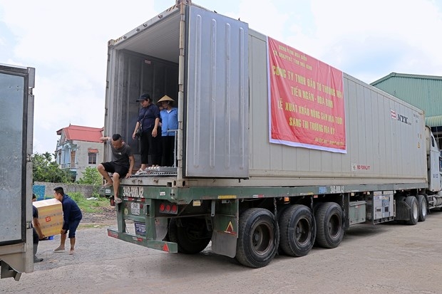 Another batch of fresh sugarcane shipped to US market