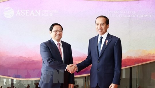 indonesian research fellow hails vietnam s bamboo diplomacy picture 1