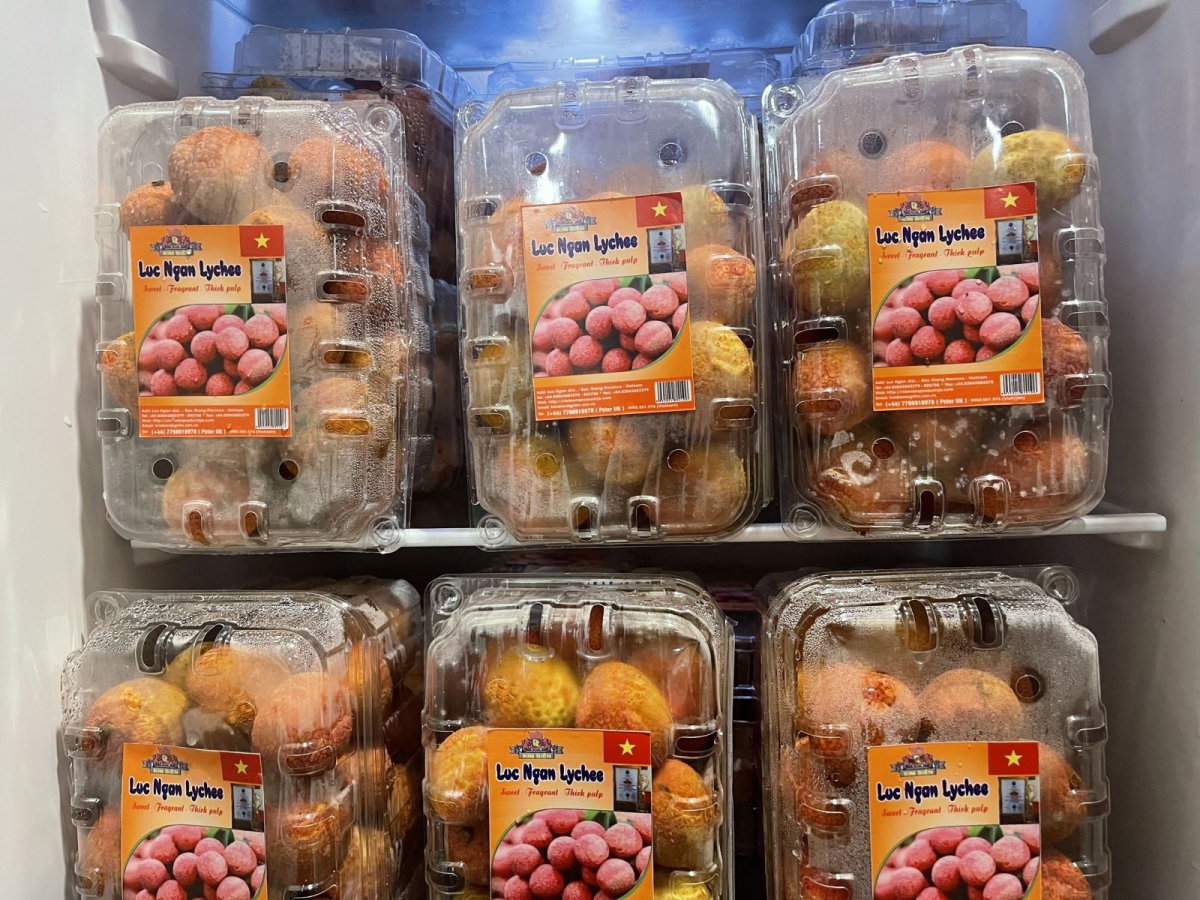 first batch of vietnamese fresh lychee arrives in uk picture 1