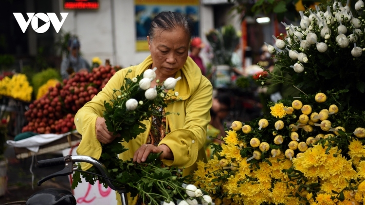 Hanoians busy preparing for Doan Ngo Festival