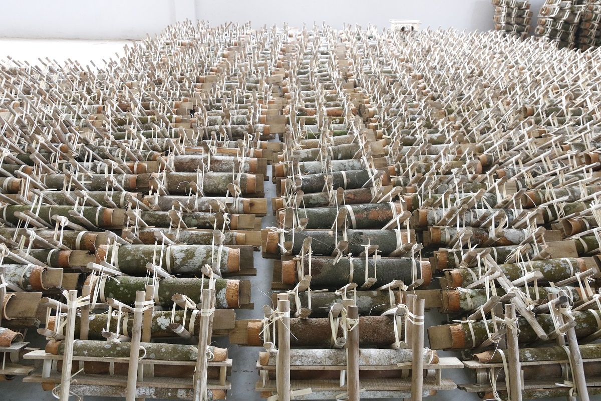 Yên Bái có 10 sản phẩm OCOP xuất khẩu sang Anh quốc