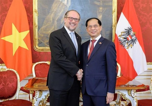 foreign minister meets austrian counterpart picture 1