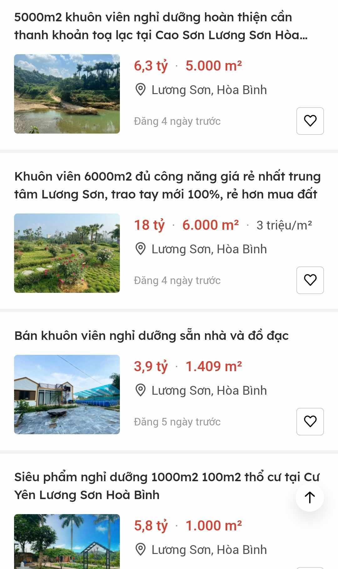homestay that tran, nha dau tu dua nhau rao ban cat lo hinh anh 2