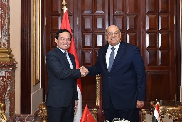 deputy pm meets with top egyptian legislators picture 1