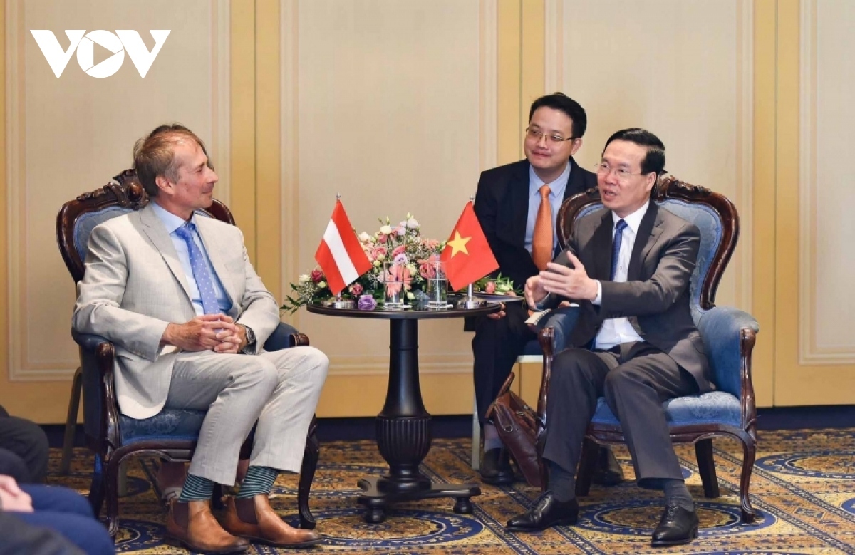 vietnamese president receives austria - vietnam friendship association leader picture 1