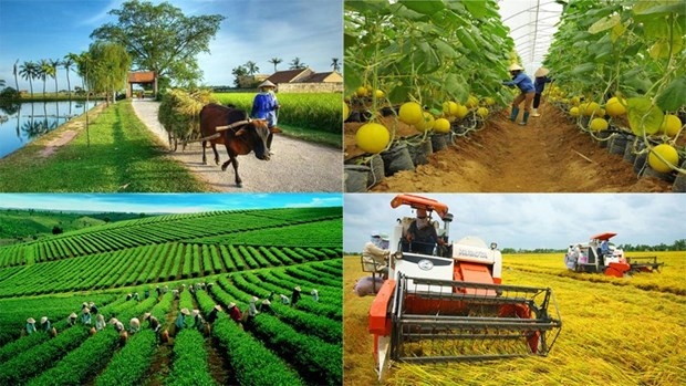 agriculture sector continues to focus on three key programmes picture 1