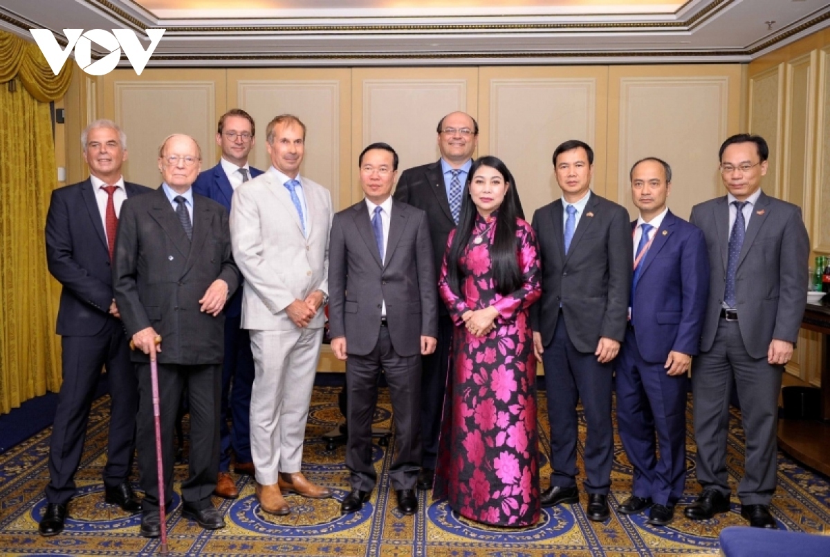 vietnamese president receives austria - vietnam friendship association leader picture 2
