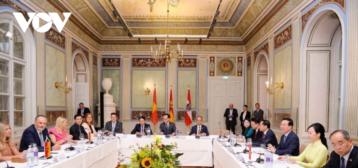 president encourages burgenland to form partnerships with vn localities picture 1