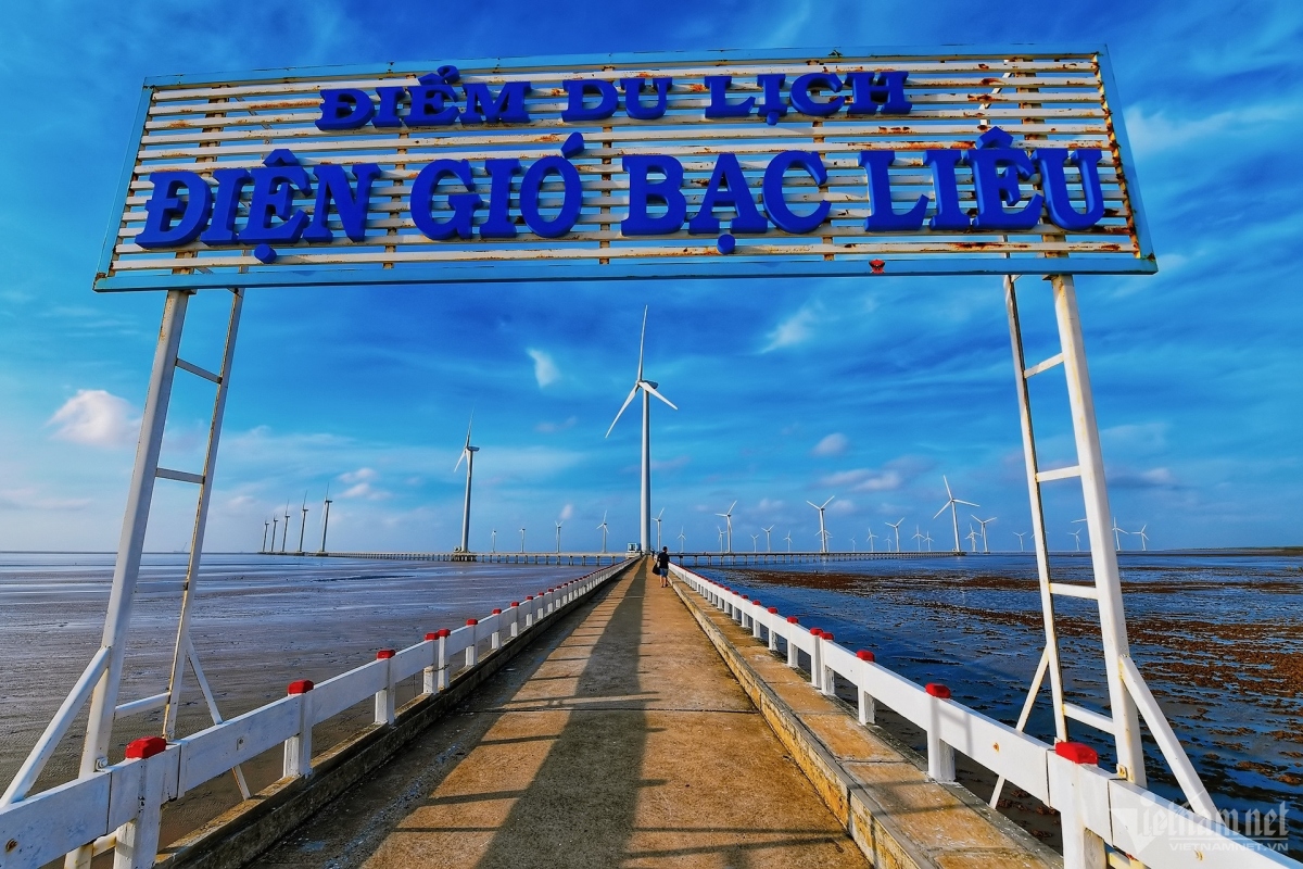 discovering wind farm as new tourist spot in bac lieu province picture 1