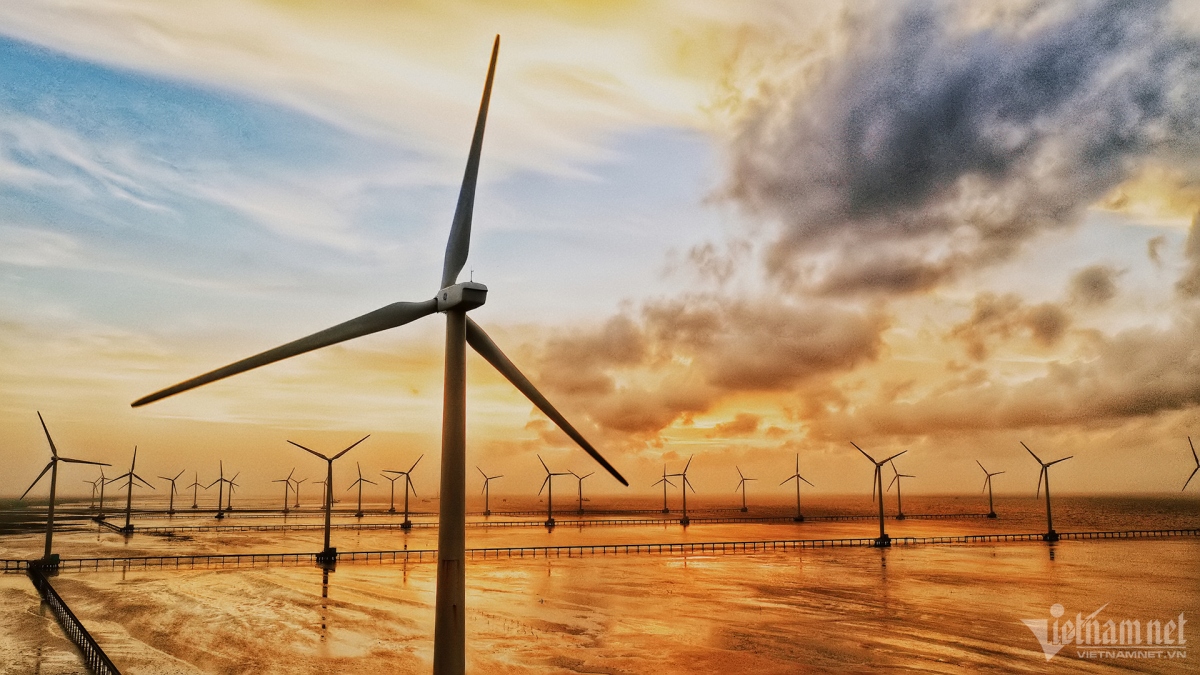 discovering wind farm as new tourist spot in bac lieu province picture 5