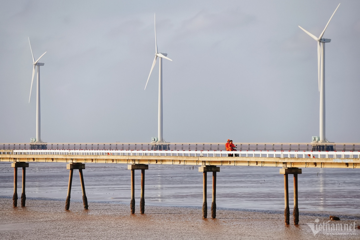 discovering wind farm as new tourist spot in bac lieu province picture 6