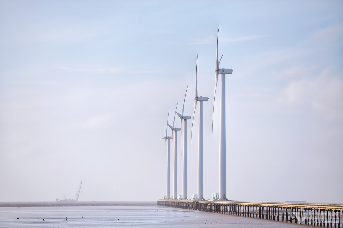 discovering wind farm as new tourist spot in bac lieu province picture 7