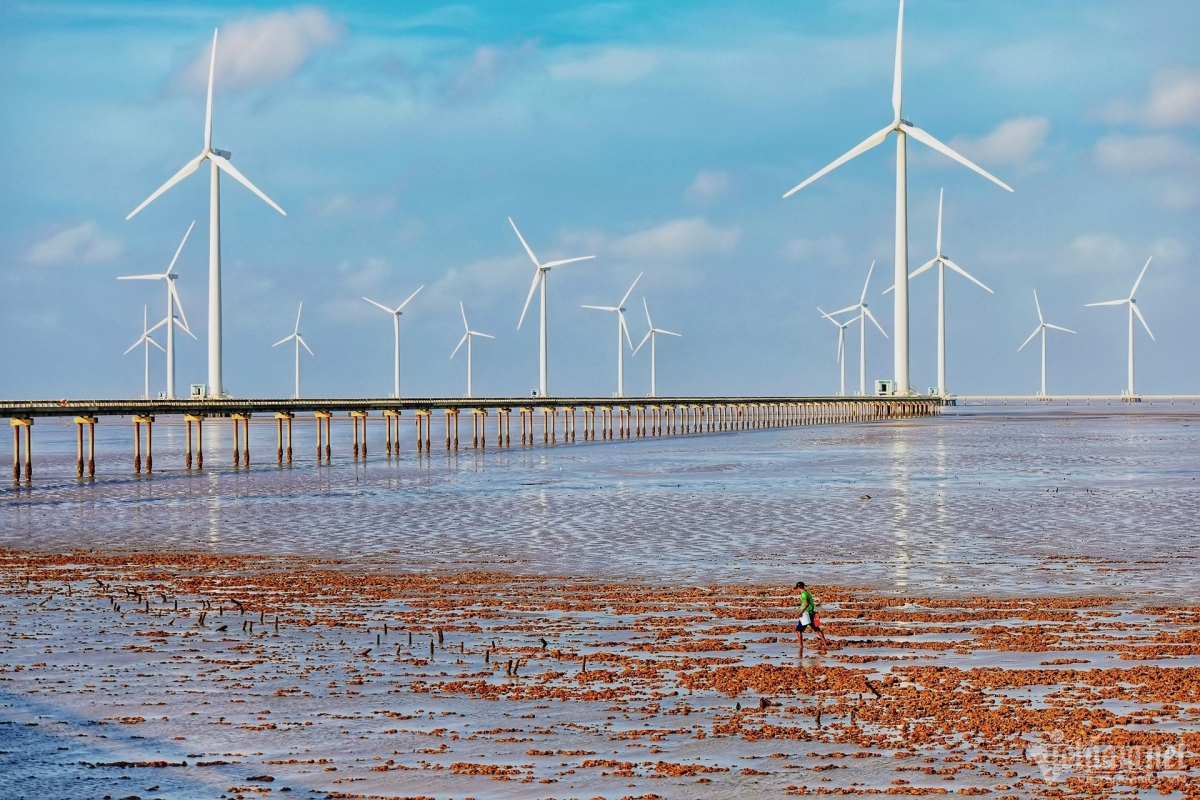 discovering wind farm as new tourist spot in bac lieu province picture 8