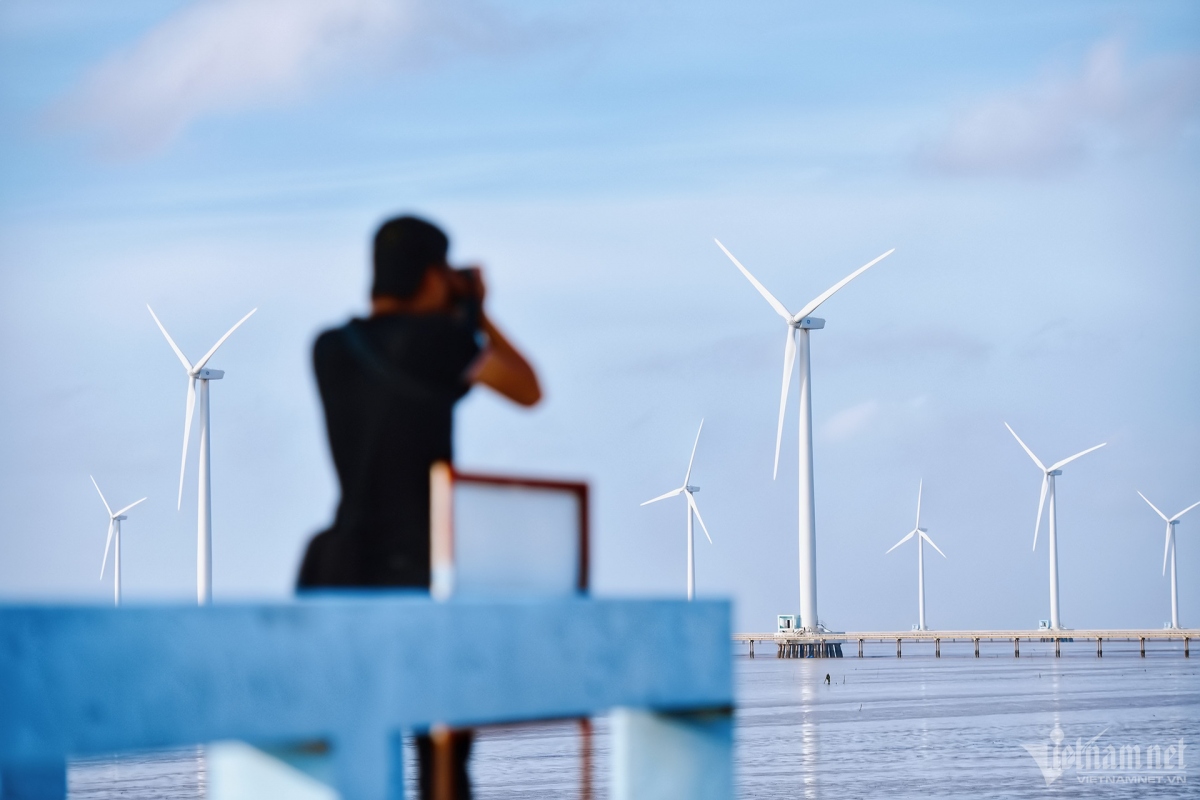 discovering wind farm as new tourist spot in bac lieu province picture 9