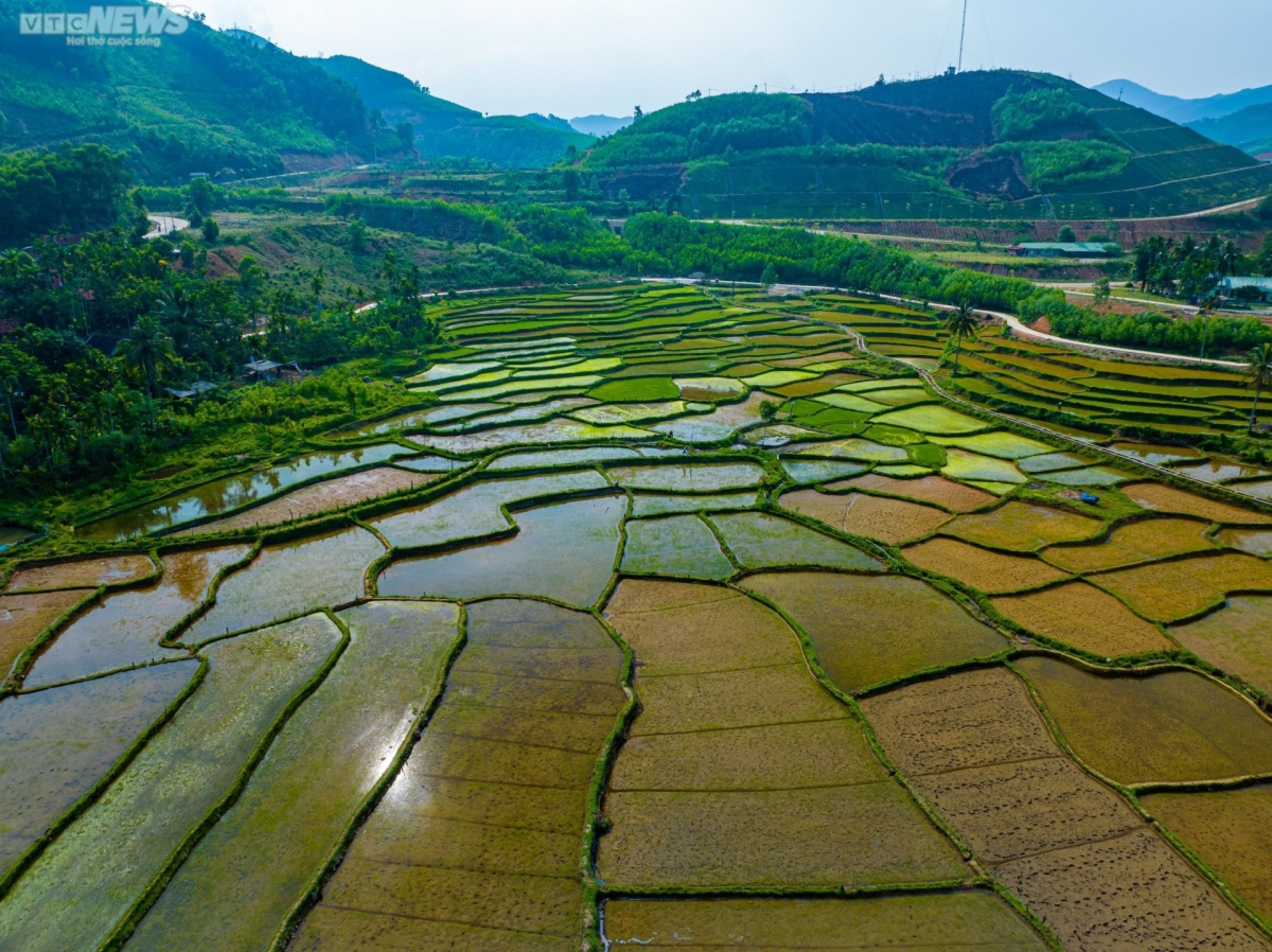 When viewed from above, the rice fields of An Lao district boast a distinctly beautiful shape.