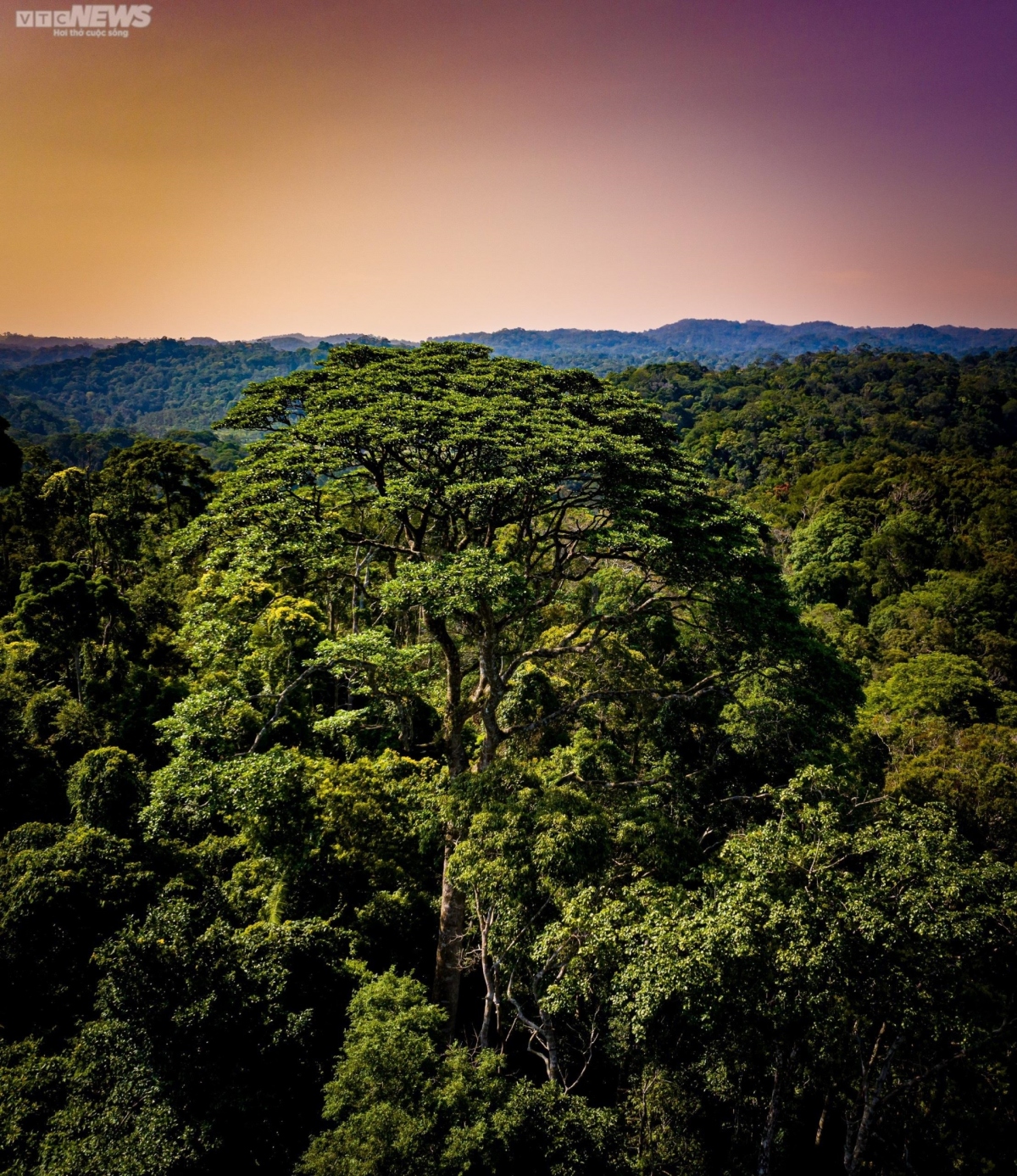 The primeval forests provide An Lao with fresh and cool air all year round.