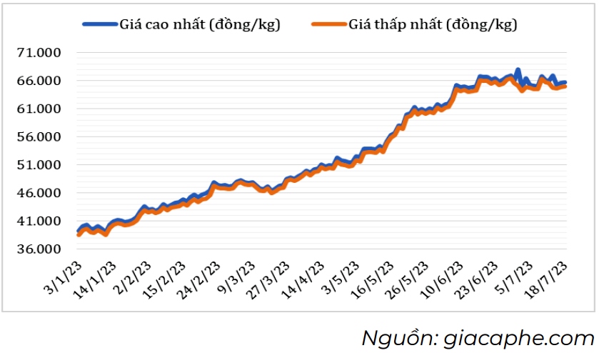 gia ca phe hom nay 25 7 trong nuoc va the gioi dang o muc cao hinh anh 1