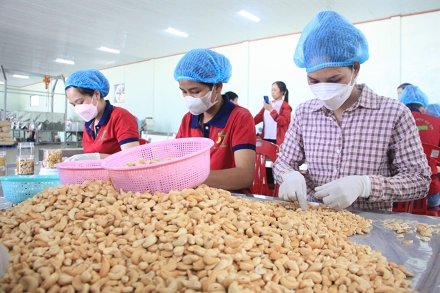moit steps in regarding suspected scam in exporting cashew kernels to dubai picture 1