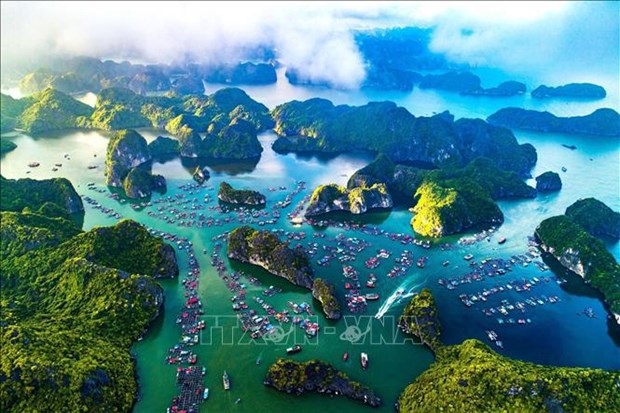 more efforts made to seek world heritage recognition for ha long bay-cat ba picture 1
