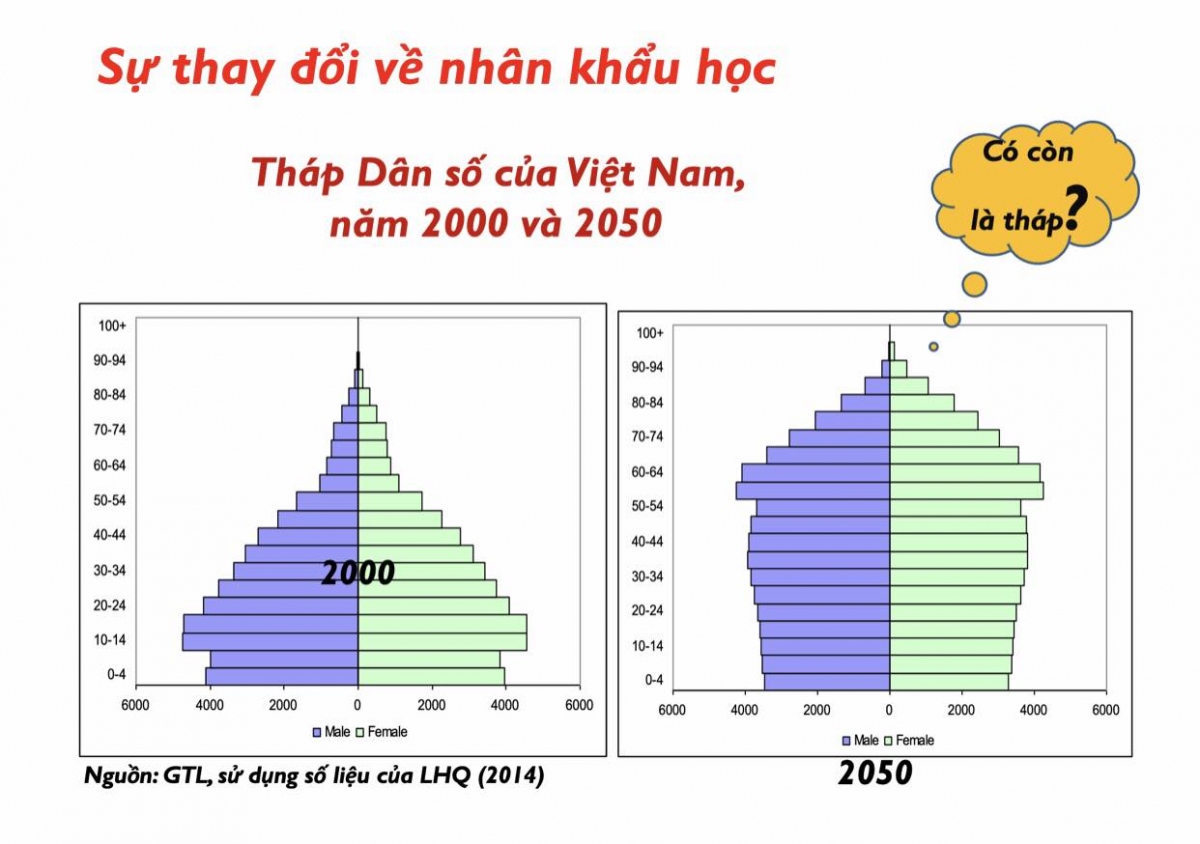 gia hoa dan so, viet nam da san sang thich ung hinh anh 4